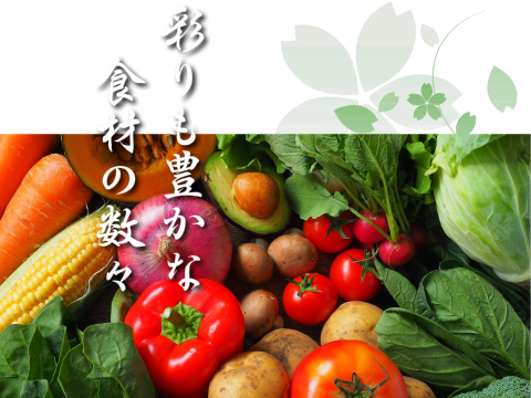 彩りも豊かな食材の数々