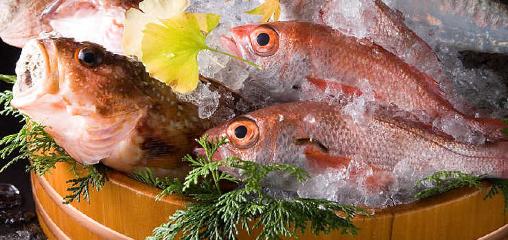 東京湾で水揚げされた旬の魚介類